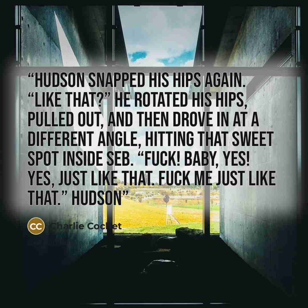 “Hudson snapped his hips again. “Like that?” He rotated his hips, pulled out, and then drove in at a different angle, hitting that sweet spot inside Seb. “Fuck! Baby, yes! Yes, just like that. Fuck me just like that.” Hudson” quote by Charlie Cochet