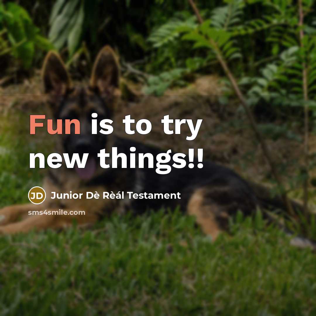 “Fun is to try new things!!” quote by Junior Dè Rèál Testament