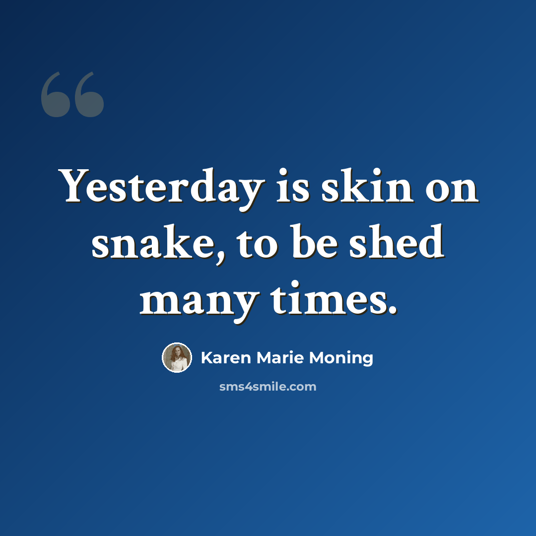“Yesterday is skin on snake, to be shed many times.” quote by Karen Marie Moning