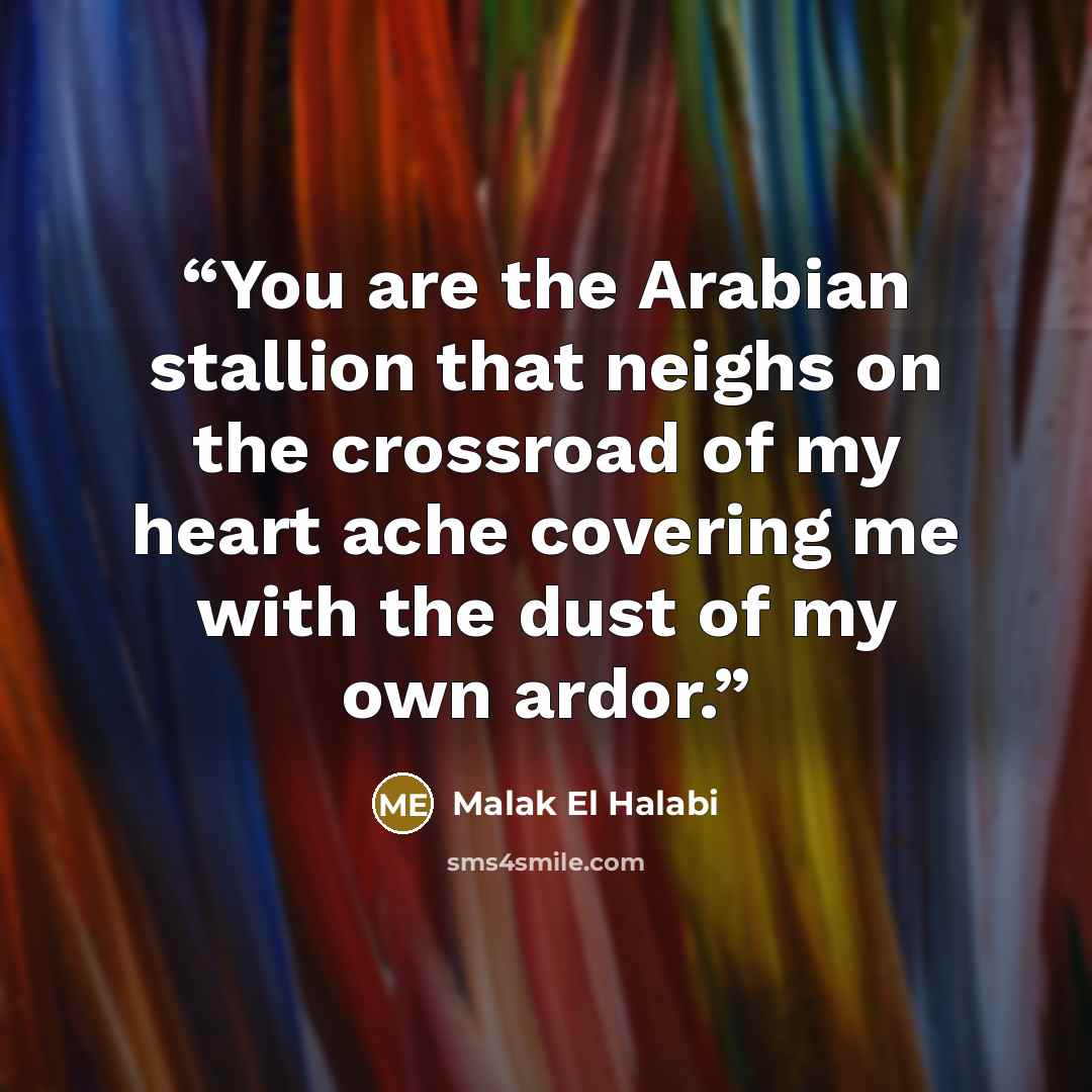 “You are the Arabian stallion that neighs on the crossroad of my heart ache covering me with the dust of my own ardor.” quote by Malak El Halabi