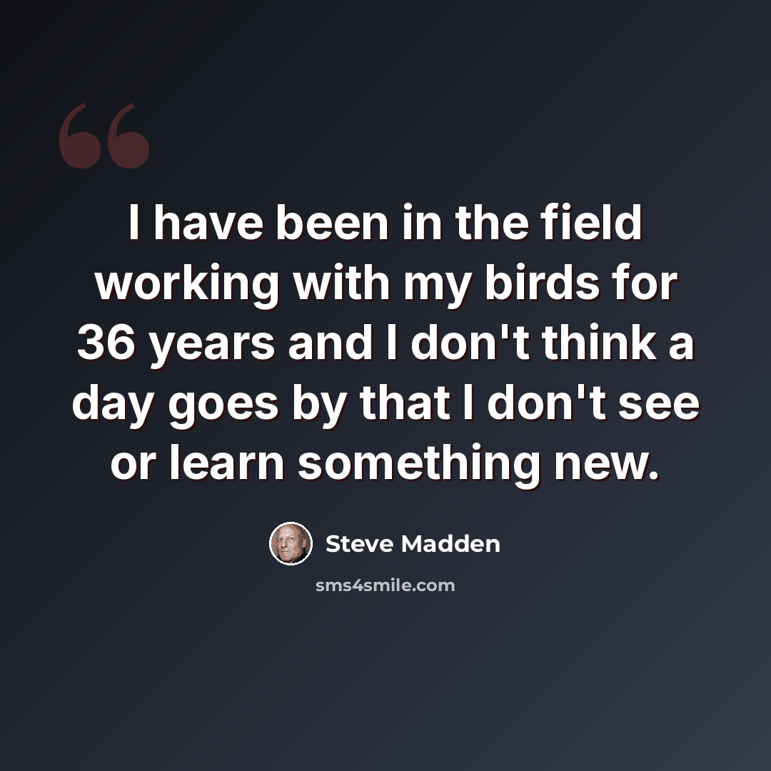 “I have been in the field working with my birds for 36 years and I don't think a day goes by that I don't see or learn something new.” quote by Steve Madden
