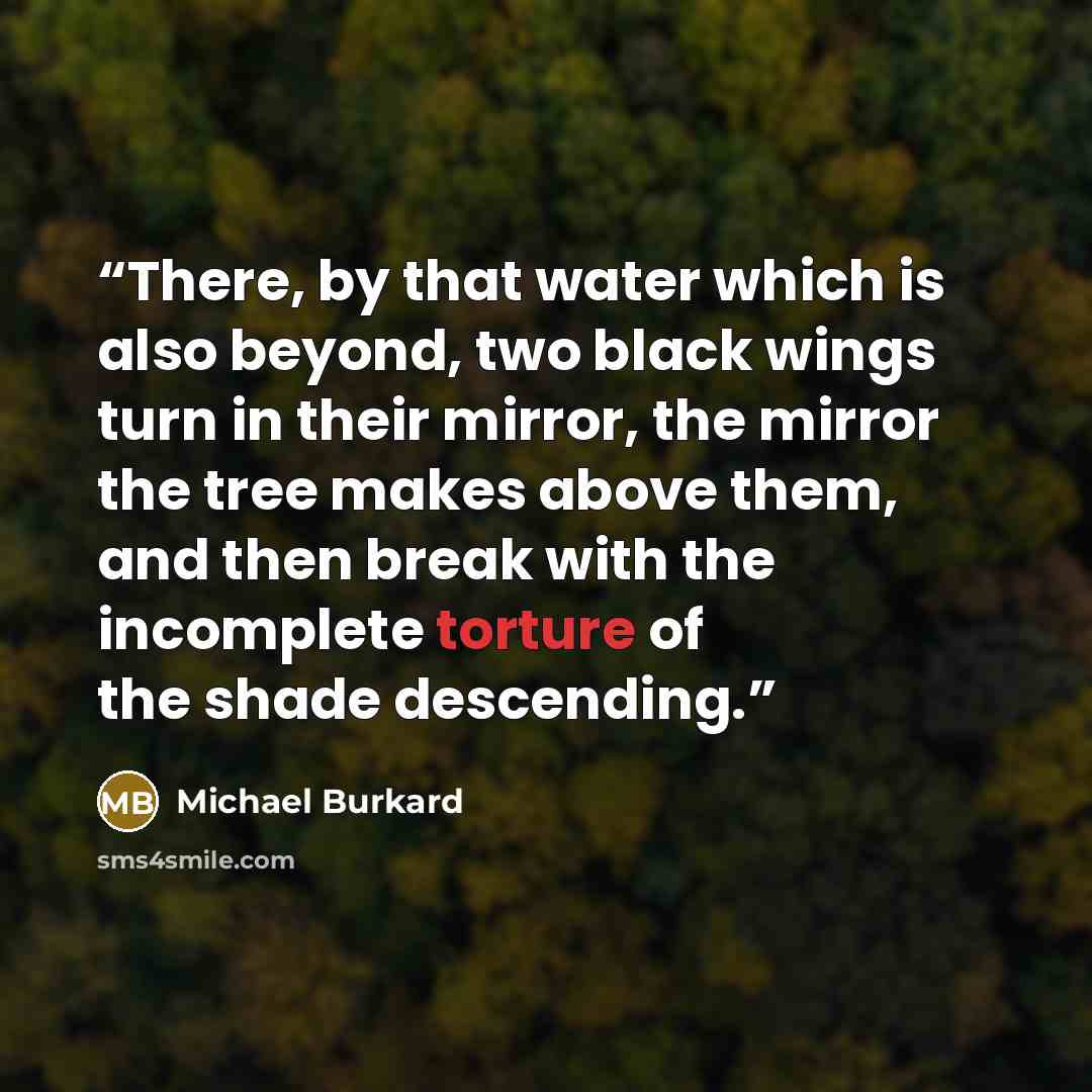 “There, by that water which is also beyond, two black wings turn in their mirror, the mirror the tree makes above them, and then break with the incomplete torture of the shade descending.” quote by Michael Burkard