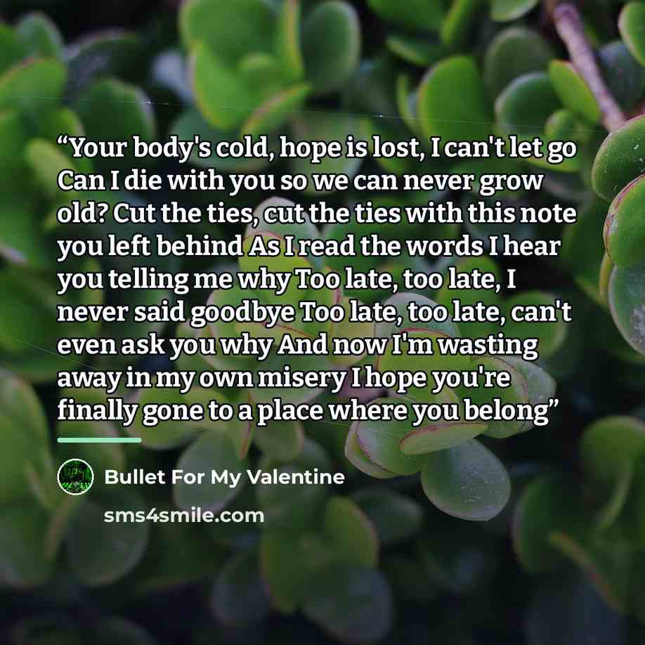 “Your body's cold, hope is lost, I can't let go Can I die with you so we can never grow old? Cut the ties, cut the ties with this note you left behind As I read the words I hear you telling me why Too late, too late, I never said goodbye Too late, too late, can't even ask you why And now I'm…” quote by Bullet for My Valentine