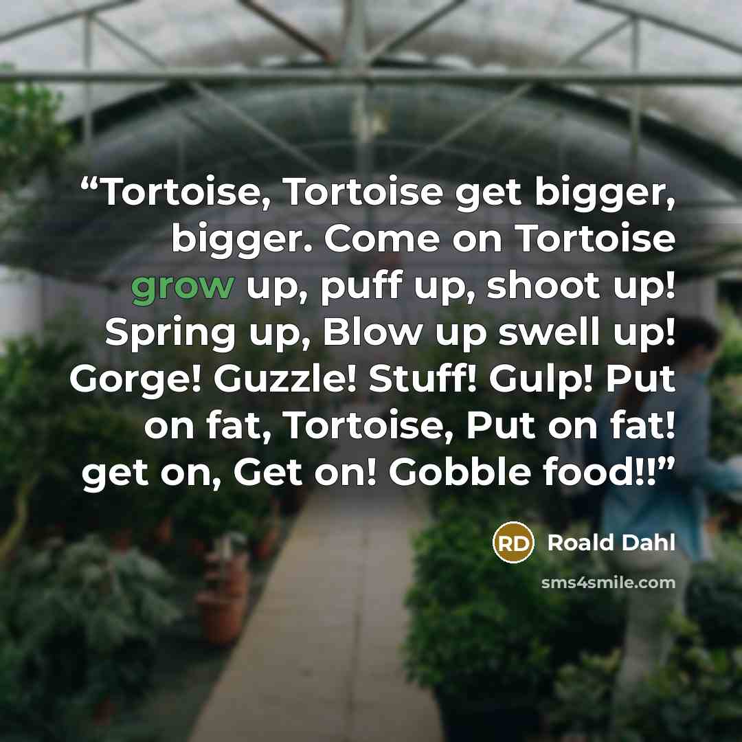“Tortoise, Tortoise get bigger, bigger. Come on Tortoise grow up, puff up, shoot up! Spring up, Blow up swell up! Gorge! Guzzle! Stuff! Gulp! Put on fat, Tortoise, Put on fat! get on, Get on! Gobble food!!” quote by Roald Dahl