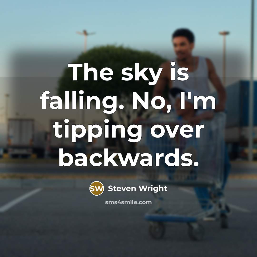 “The sky is falling. No, I'm tipping over backwards.” quote by Steven Wright