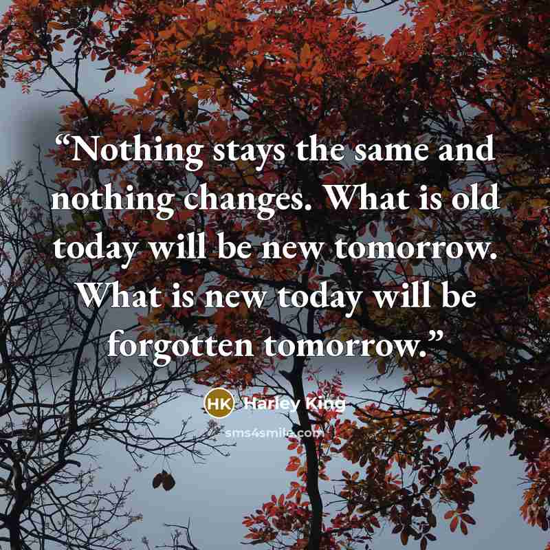“Nothing stays the same and nothing changes. What is old today will be new tomorrow. What is new today will be forgotten tomorrow.” quote by Harley King