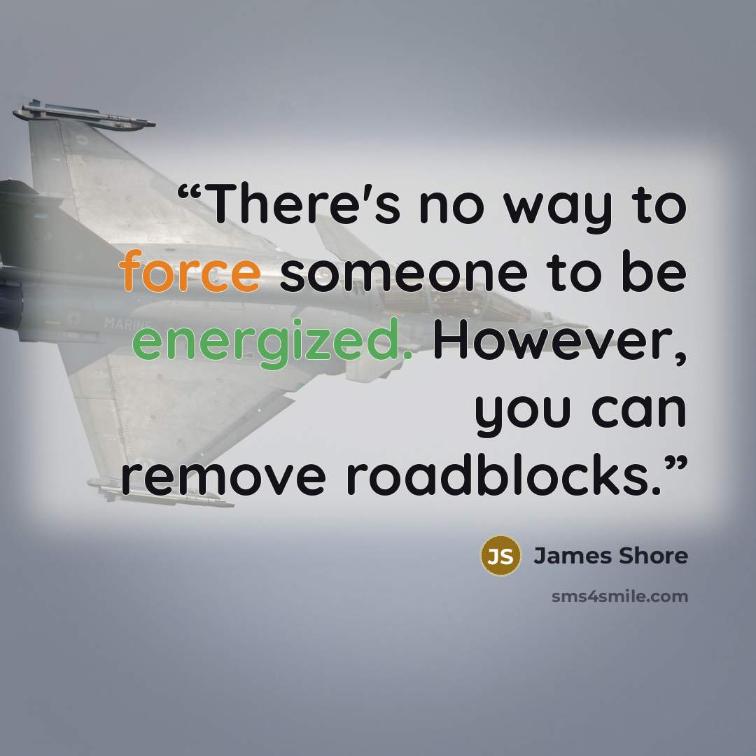 “There's no way to force someone to be energized. However, you can remove roadblocks.” quote by James Shore