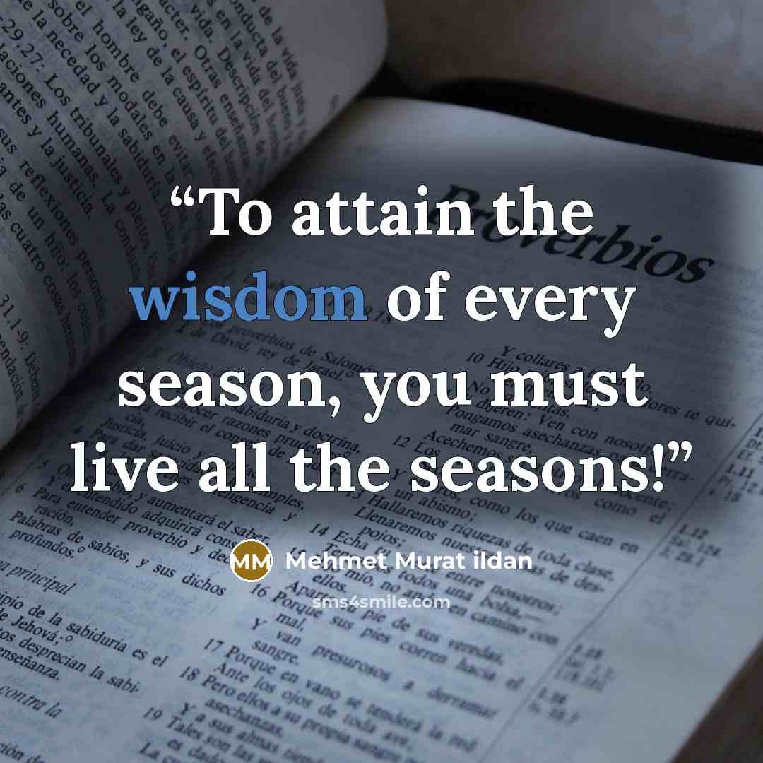 “To attain the wisdom of every season, you must live all the seasons!” quote by Mehmet Murat ildan