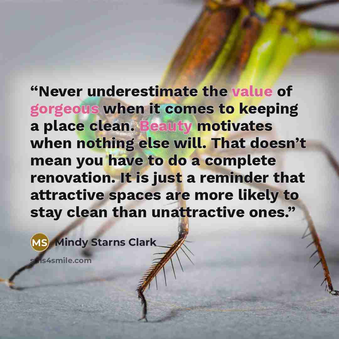 “Never underestimate the value of gorgeous when it comes to keeping a place clean. Beauty motivates when nothing else will. That doesn’t mean you have to do a complete renovation. It is just a reminder that attractive spaces are more likely to stay clean than unattractive ones.” quote by Mindy Starns Clark