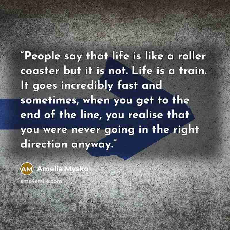 “People say that life is like a roller coaster but it is not. Life is a train. It goes incredibly fast and sometimes, when you get to the end of the line, you realise that you were never going in the right direction anyway.” quote by Amelia Mysko