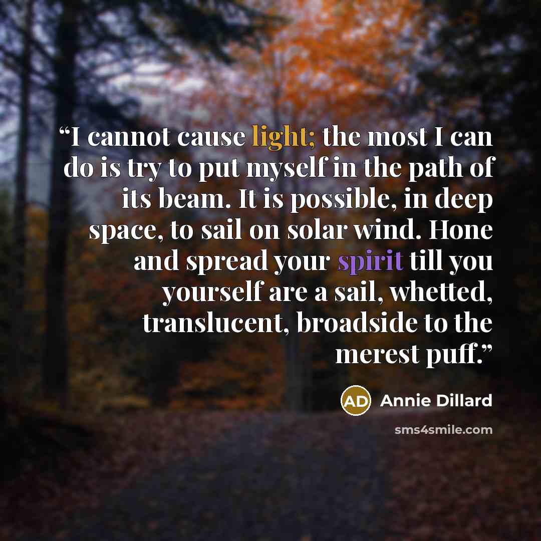 “I cannot cause light; the most I can do is try to put myself in the path of its beam. It is possible, in deep space, to sail on solar wind. Hone and spread your spirit till you yourself are a sail, whetted, translucent, broadside to the merest puff.” quote by Annie Dillard