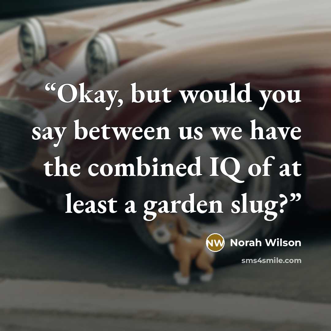 “Okay, but would you say between us we have the combined IQ of at least a garden slug?” quote by Norah Wilson