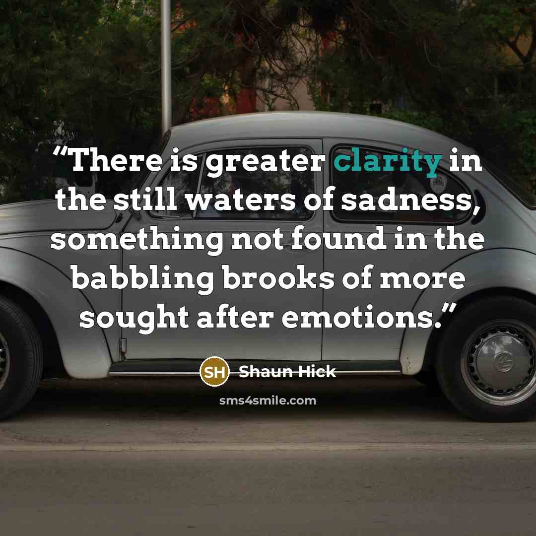 “There is greater clarity in the still waters of sadness, something not found in the babbling brooks of more sought after emotions.” quote by Shaun Hick