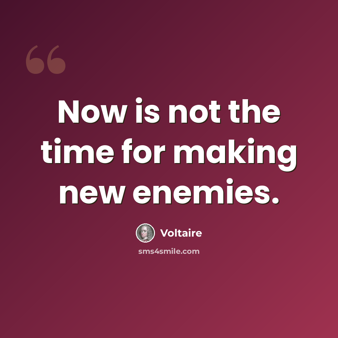 “Now is not the time for making new enemies.” quote by Voltaire