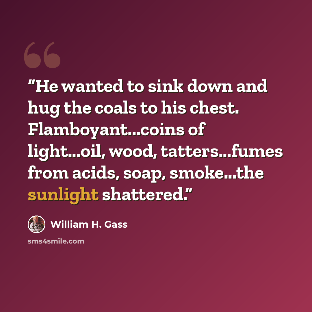 “He wanted to sink down and hug the coals to his chest. Flamboyant...coins of light...oil, wood, tatters...fumes from acids, soap, smoke...the sunlight shattered.” quote by William H. Gass