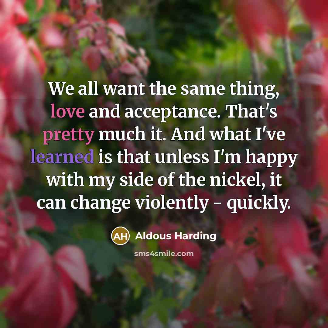 “We all want the same thing, love and acceptance. That's pretty much it. And what I've learned is that unless I'm happy with my side of the nickel, it can change violently - quickly.” quote by Aldous Harding