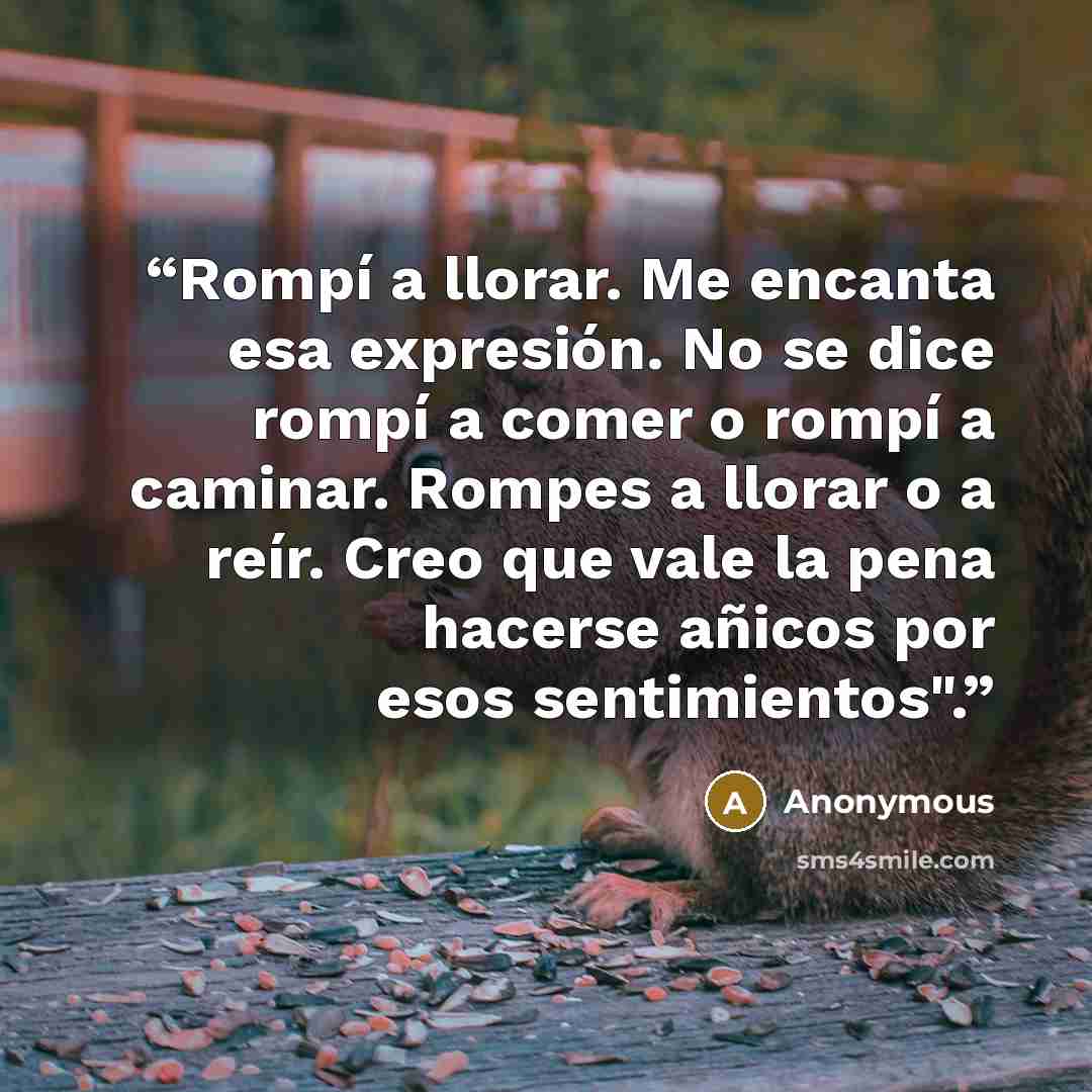 “Rompí a llorar. Me encanta esa expresión. No se dice rompí a comer o rompí a caminar. Rompes a llorar o a reír. Creo que vale la pena hacerse añicos por esos sentimientos".” quote by Anonymous