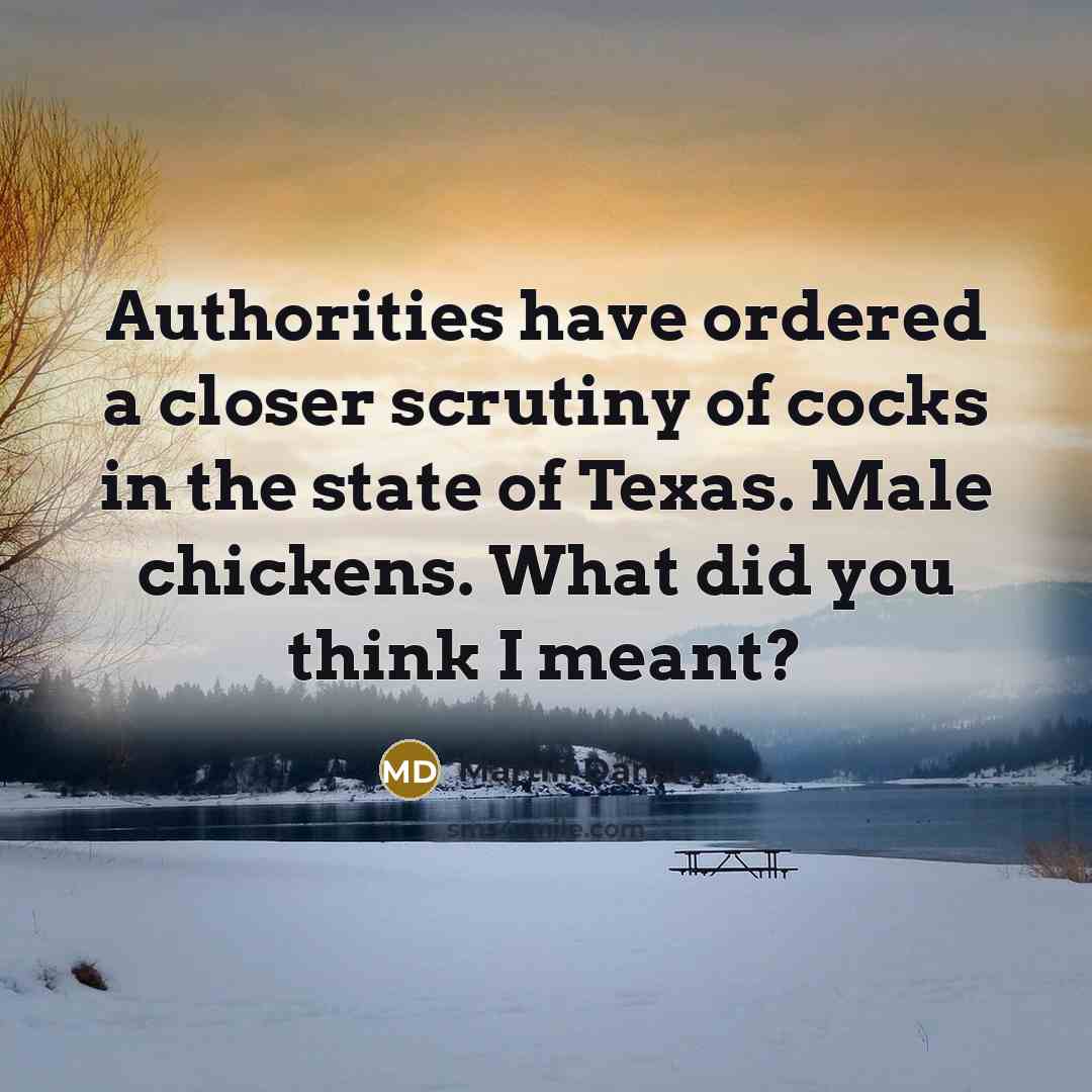 “Authorities have ordered a closer scrutiny of cocks in the state of Texas. Male chickens. What did you think I meant?” quote by Martin Dansky