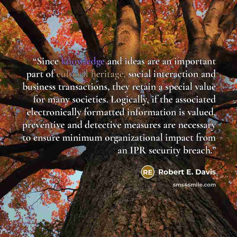 “Since knowledge and ideas are an important part of cultural heritage, social interaction and business transactions, they retain a special value for many societies. Logically, if the associated electronically formatted information is valued, preventive and detective measures are necessary to ensure…” quote by Robert E. Davis