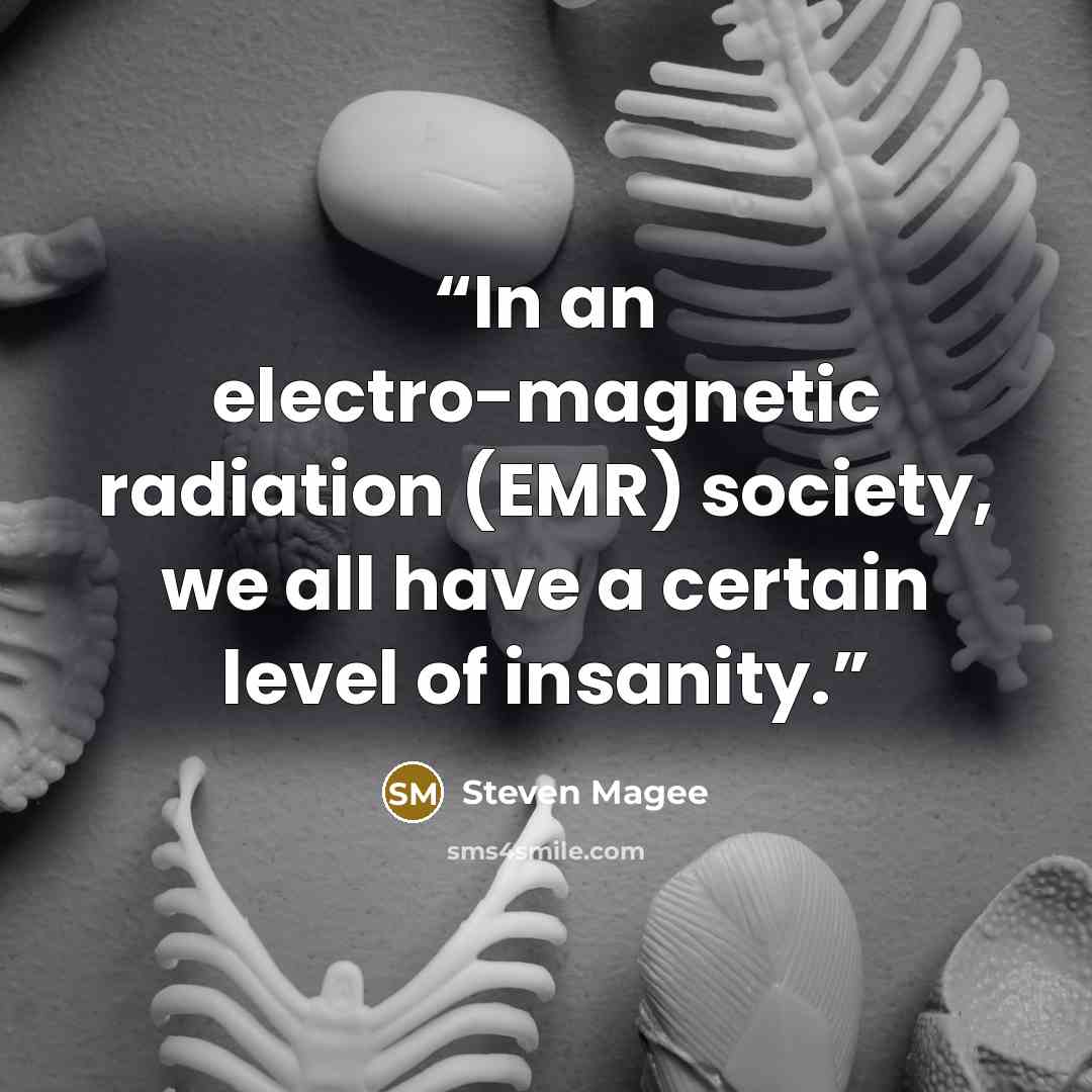“In an electro-magnetic radiation (EMR) society, we all have a certain level of insanity.” quote by Steven Magee