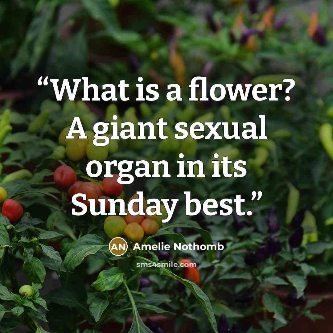 “What is a flower? A giant sexual organ in its Sunday best.” quote by Amélie Nothomb