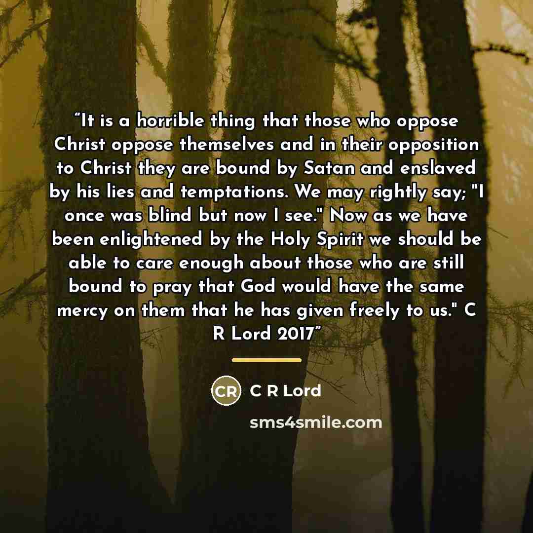 “It is a horrible thing that those who oppose Christ oppose themselves and in their opposition to Christ they are bound by Satan and enslaved by his lies and temptations. We may rightly say; "I once was blind but now I see." Now as we have been enlightened by the Holy Spirit we should be able to…” quote by Anonymous