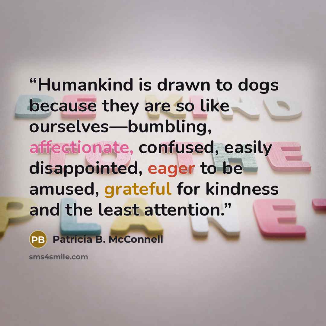 “Humankind is drawn to dogs because they are so like ourselves—bumbling, affectionate, confused, easily disappointed, eager to be amused, grateful for kindness and the least attention.” quote by Patricia B. McConnell
