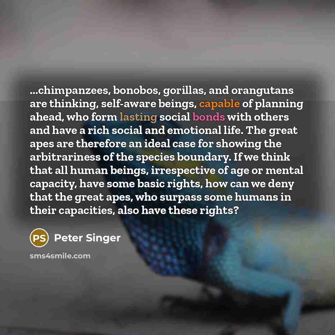 “...chimpanzees, bonobos, gorillas, and orangutans are thinking, self-aware beings, capable of planning ahead, who form lasting social bonds with others and have a rich social and emotional life. The great apes are therefore an ideal case for showing the arbitrariness of the species boundary. If we…” quote by Peter Singer