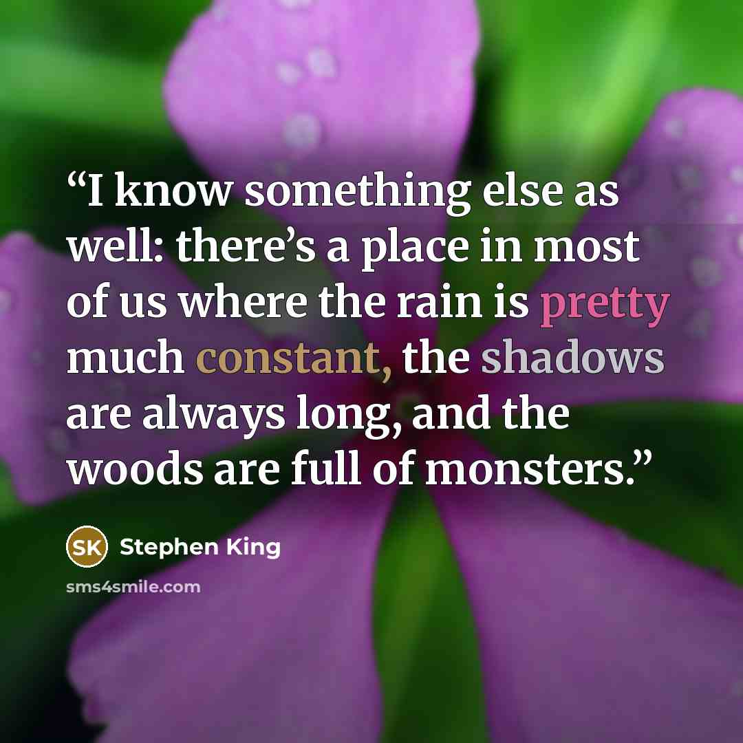 “I know something else as well: there’s a place in most of us where the rain is pretty much constant, the shadows are always long, and the woods are full of monsters.” quote by Stephen King