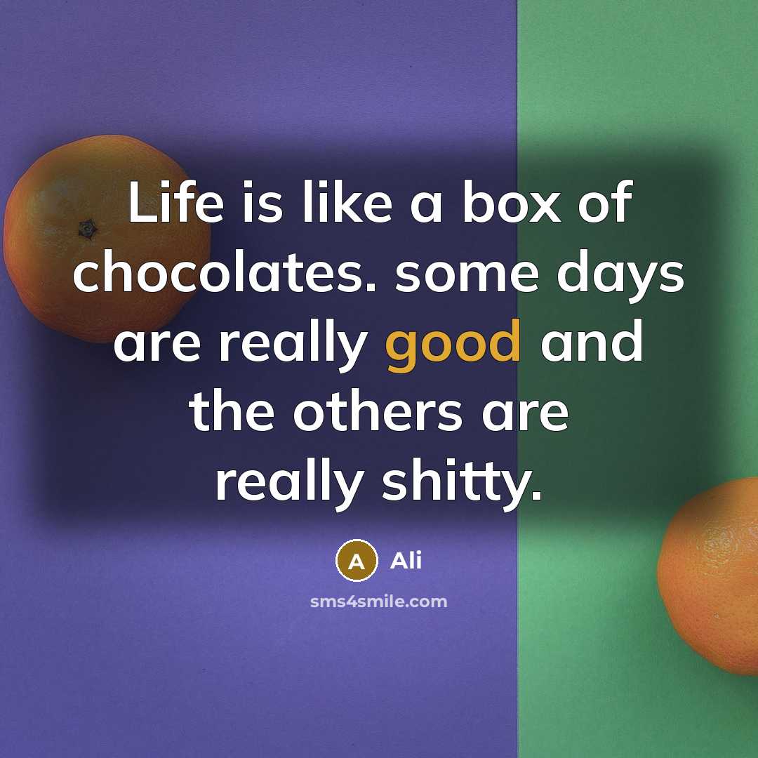 “Life is like a box of chocolates. some days are really good and the others are really shitty.” quote by Ali