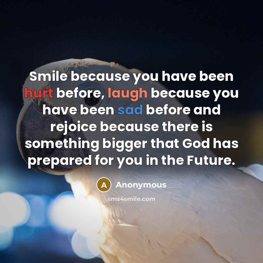 “Smile because you have been hurt before, laugh because you have been sad before and rejoice because there is something bigger that God has prepared for you in the Future.” quote by Anonymous