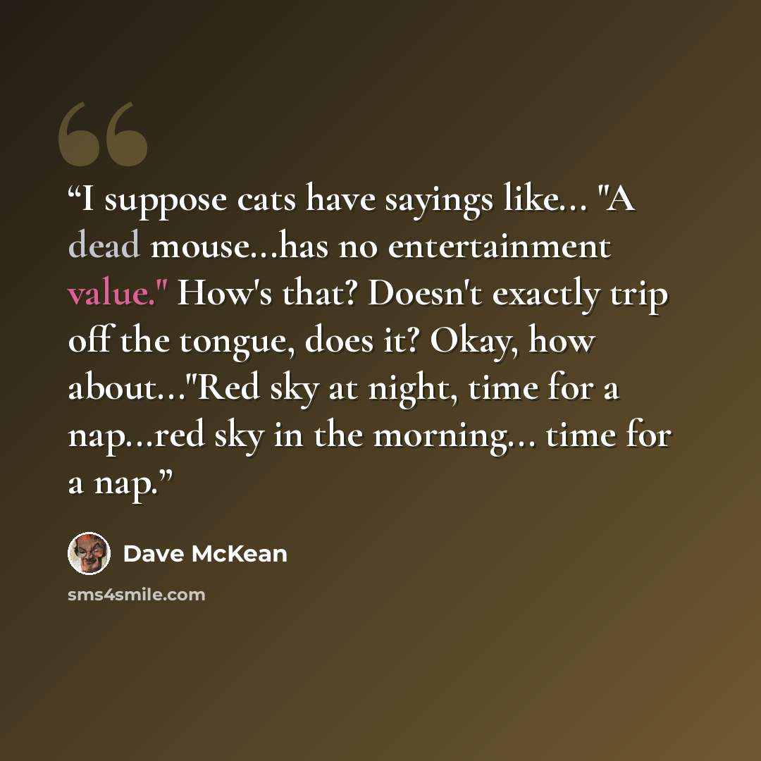 “I suppose cats have sayings like... "A dead mouse...has no entertainment value." How's that? Doesn't exactly trip off the tongue, does it? Okay, how about..."Red sky at night, time for a nap...red sky in the morning... time for a nap.” quote by Dave McKean