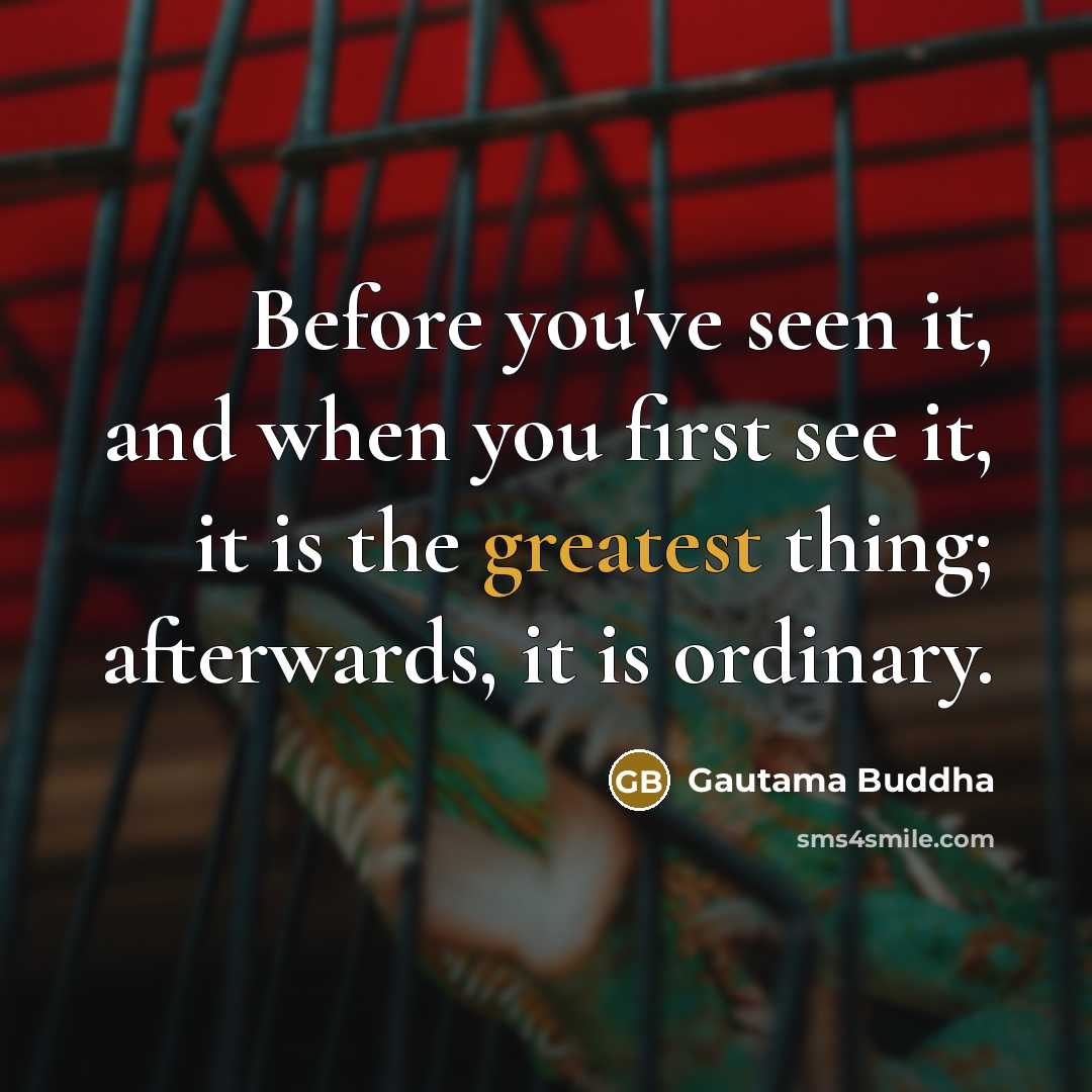 “Before you've seen it, and when you first see it, it is the greatest thing; afterwards, it is ordinary.” quote by Gautama Buddha