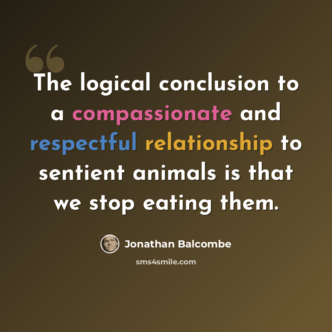 “The logical conclusion to a compassionate and respectful relationship to sentient animals is that we stop eating them.” quote by Jonathan Balcombe