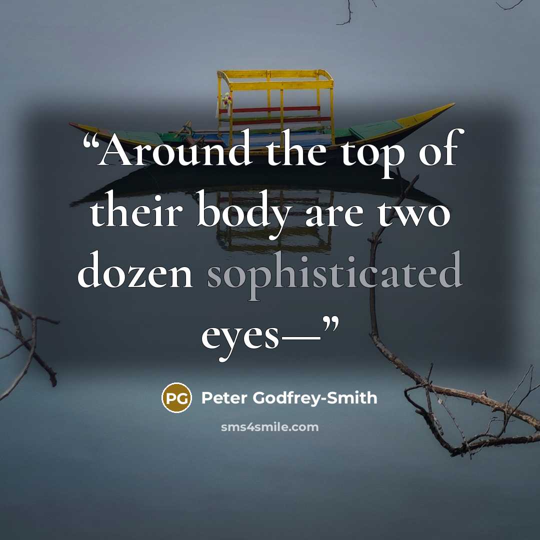 “Around the top of their body are two dozen sophisticated eyes—” quote by Peter Godfrey-Smith