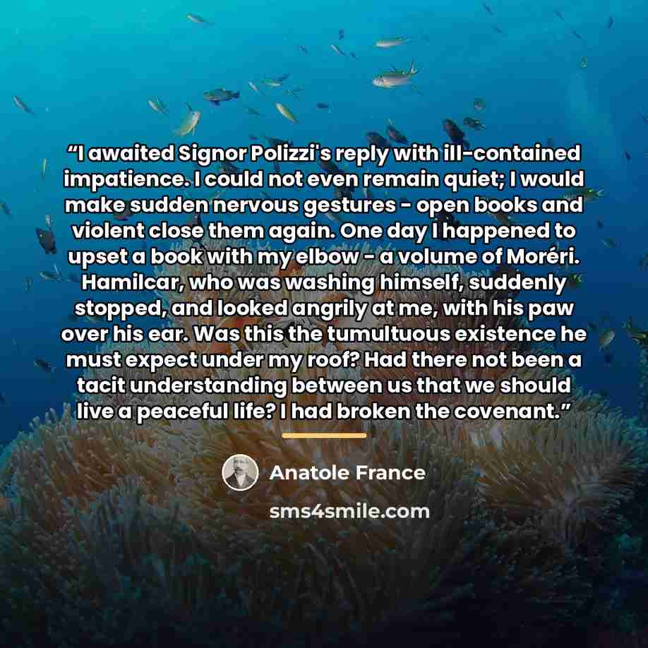 “I awaited Signor Polizzi's reply with ill-contained impatience. I could not even remain quiet; I would make sudden nervous gestures - open books and violent close them again. One day I happened to upset a book with my elbow - a volume of Moréri. Hamilcar, who was washing himself, suddenly stopped…” quote by Anatole France