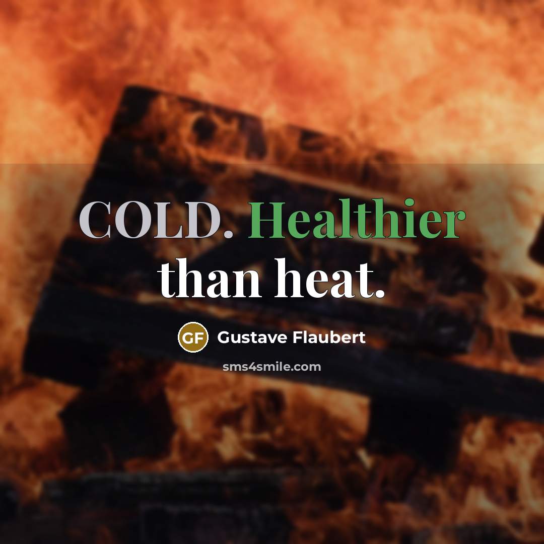 “COLD. Healthier than heat.” quote by Gustave Flaubert