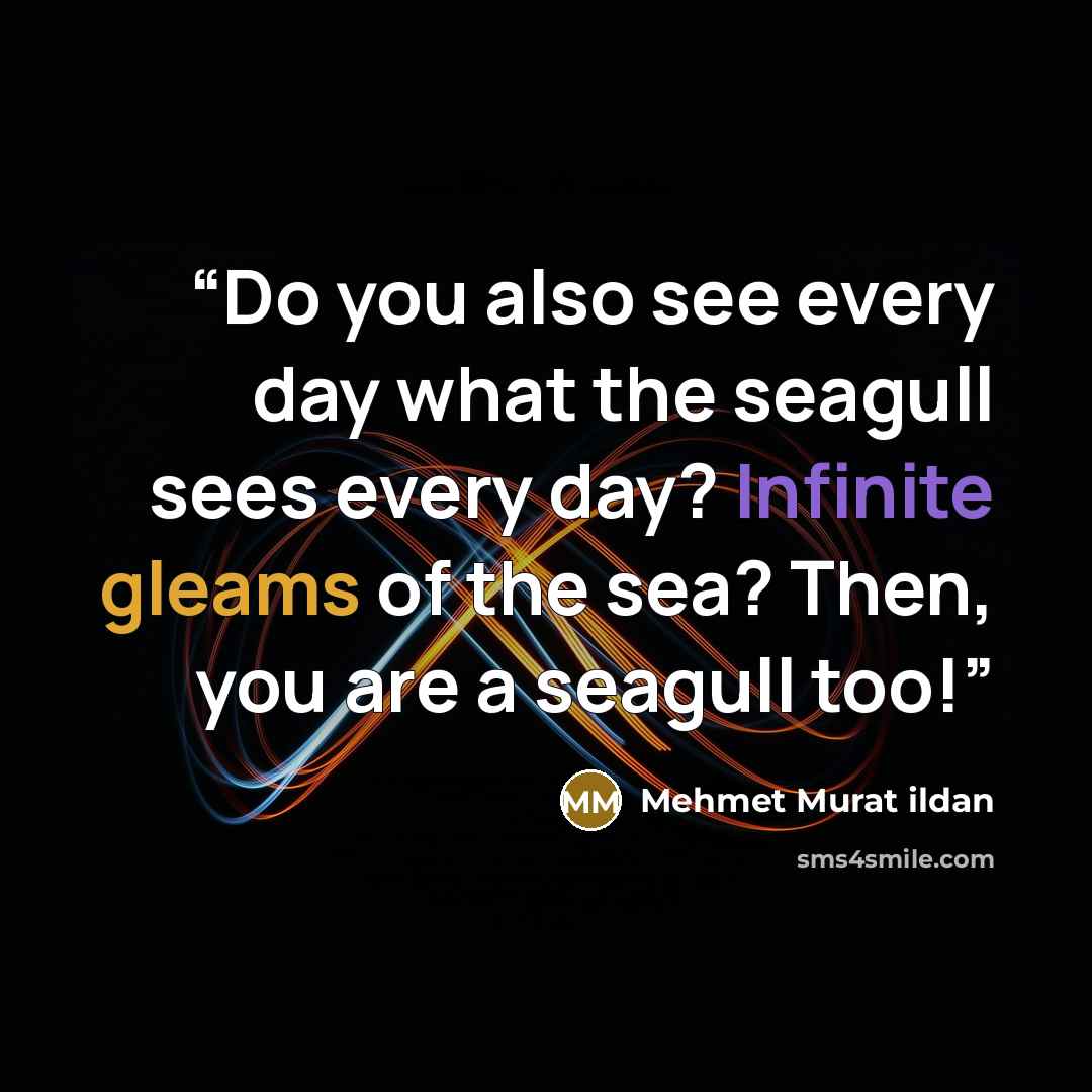 “Do you also see every day what the seagull sees every day? Infinite gleams of the sea? Then, you are a seagull too!” quote by Mehmet Murat ildan