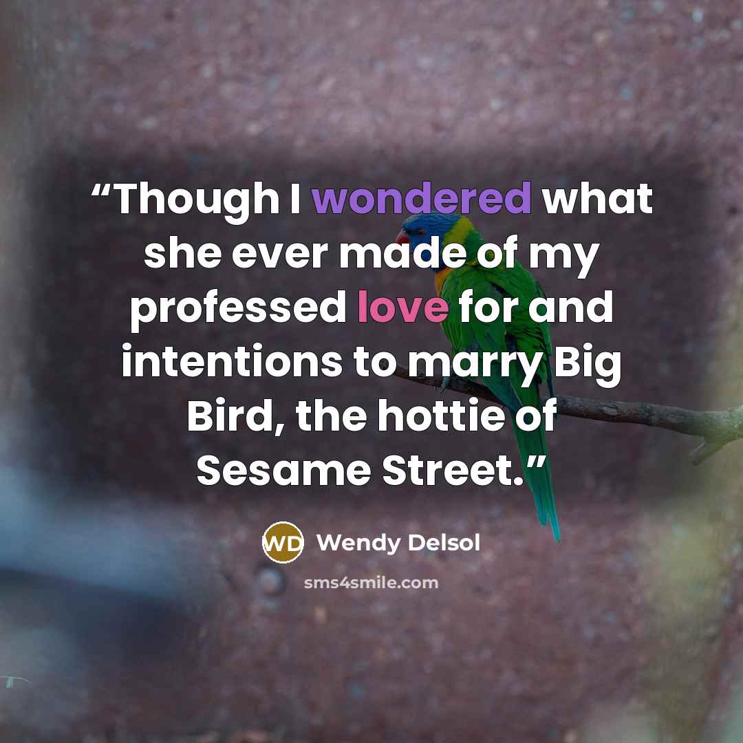 “Though I wondered what she ever made of my professed love for and intentions to marry Big Bird, the hottie of Sesame Street.” quote by Wendy Delsol