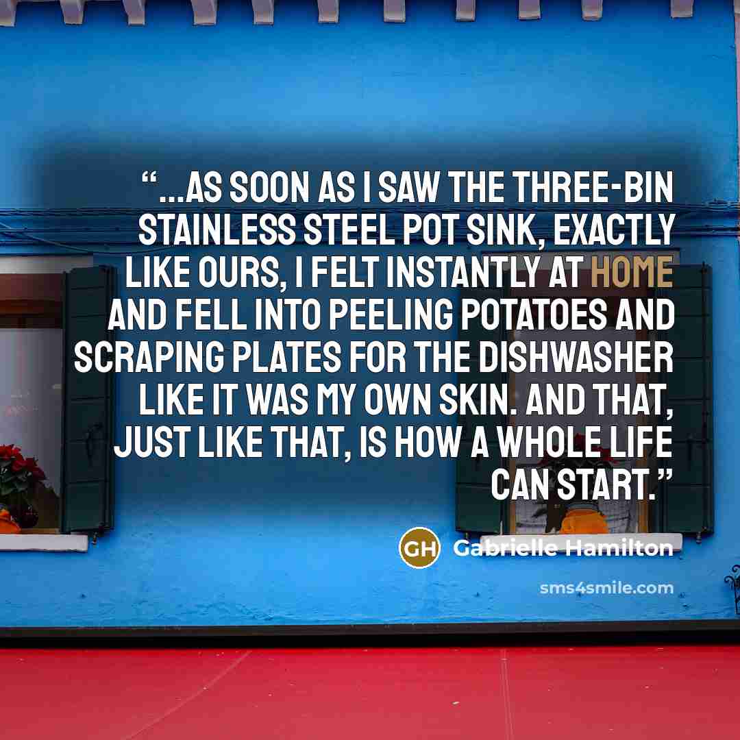 “...as soon as I saw the three-bin stainless steel pot sink, exactly like ours, I felt instantly at home and fell into peeling potatoes and scraping plates for the dishwasher like it was my own skin. And that, just like that, is how a whole life can start.” quote by Gabrielle Hamilton