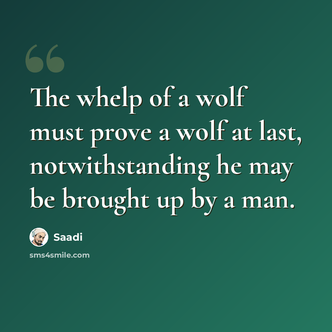 “The whelp of a wolf must prove a wolf at last, notwithstanding he may be brought up by a man.” quote by Saadi
