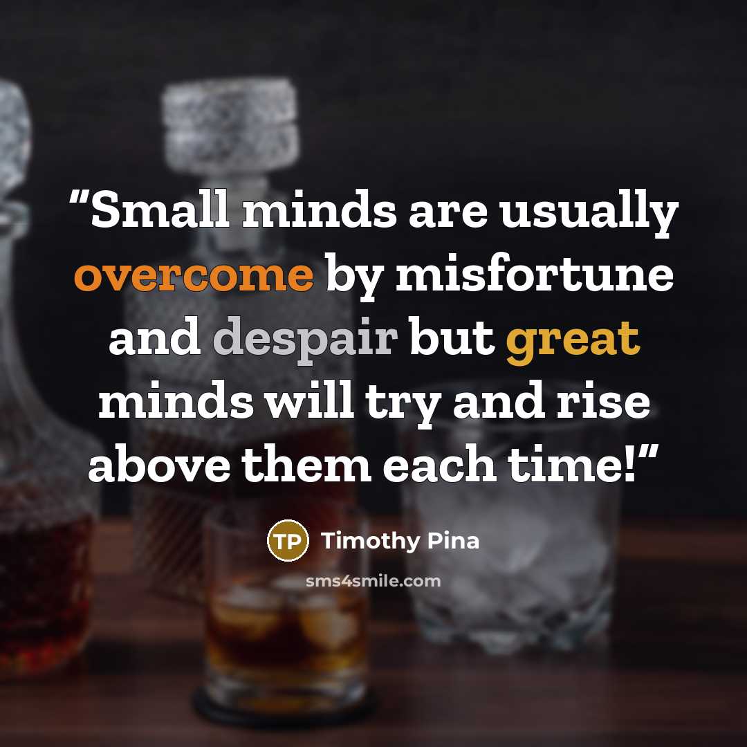 “Small minds are usually overcome by misfortune and despair but great minds will try and rise above them each time!” quote by Timothy Pina
