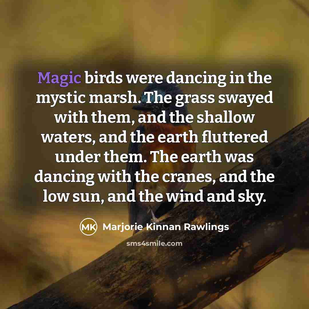 “Magic birds were dancing in the mystic marsh. The grass swayed with them, and the shallow waters, and the earth fluttered under them. The earth was dancing with the cranes, and the low sun, and the wind and sky.” quote by Marjorie Kinnan Rawlings