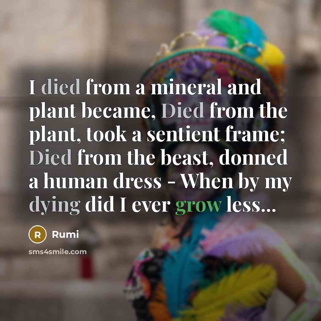 “I died from a mineral and plant became, Died from the plant, took a sentient frame; Died from the beast, donned a human dress - When by my dying did I ever grow less...” quote by Rumi