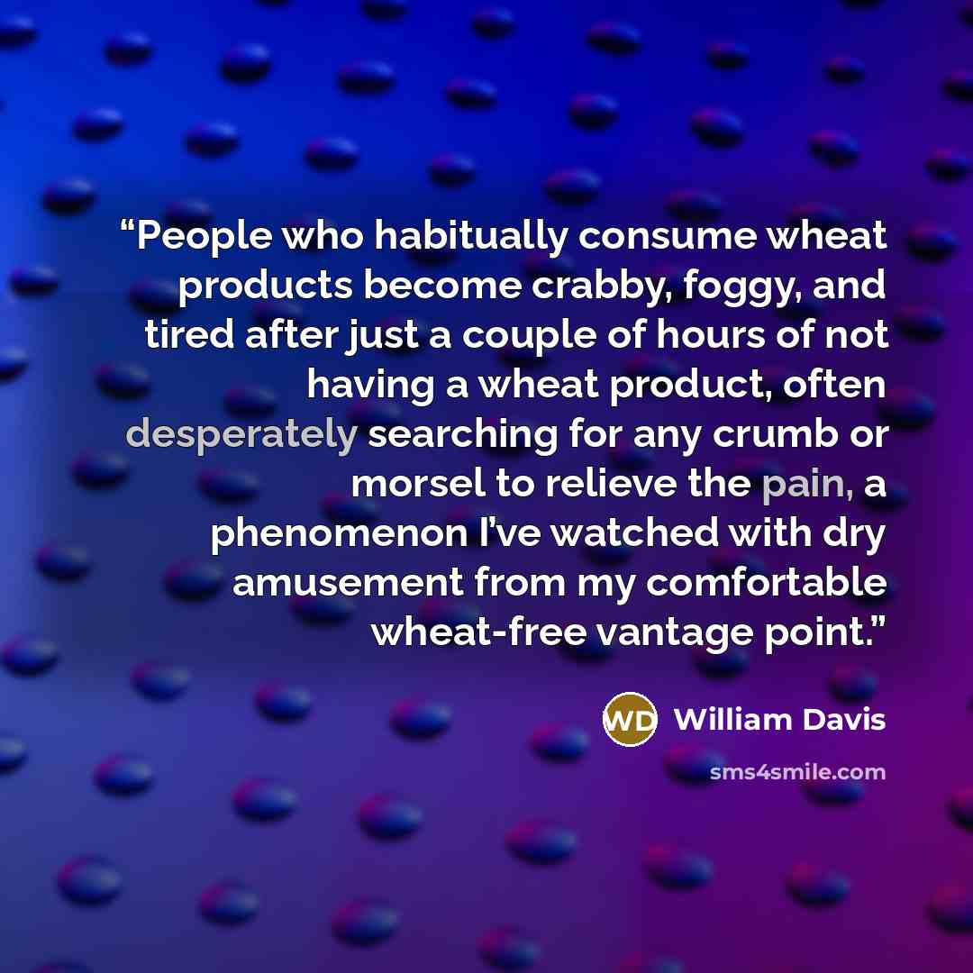 “People who habitually consume wheat products become crabby, foggy, and tired after just a couple of hours of not having a wheat product, often desperately searching for any crumb or morsel to relieve the pain, a phenomenon I’ve watched with dry amusement from my comfortable wheat-free vantage point.” quote by William Davis