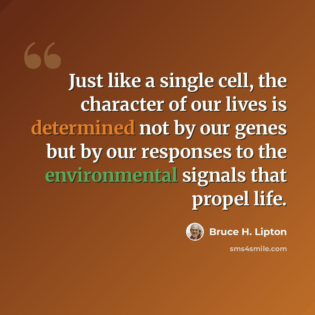 “Just like a single cell, the character of our lives is determined not by our genes but by our responses to the environmental signals that propel life.” quote by Bruce H. Lipton