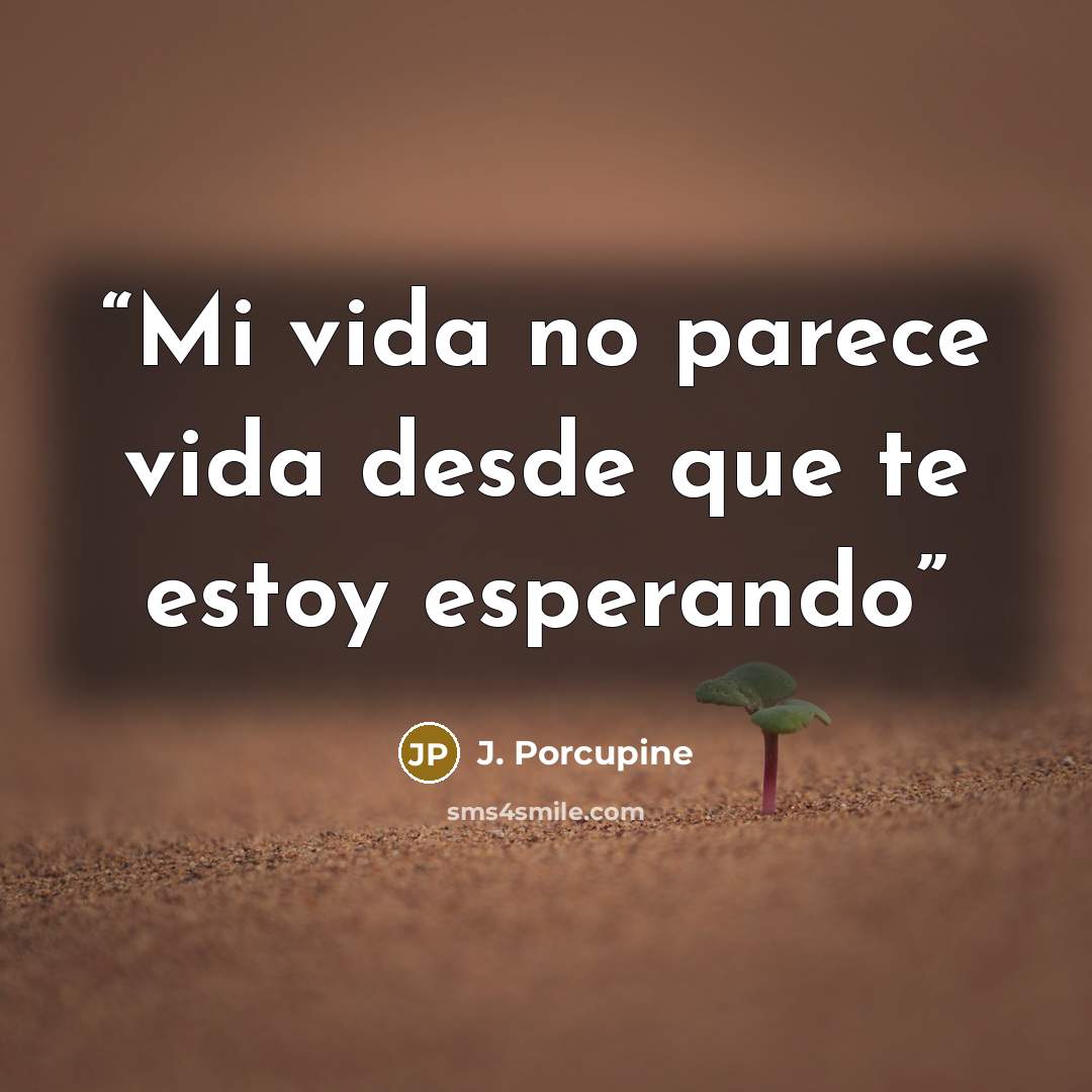 “Mi vida no parece vida desde que te estoy esperando” quote by J. Porcupine