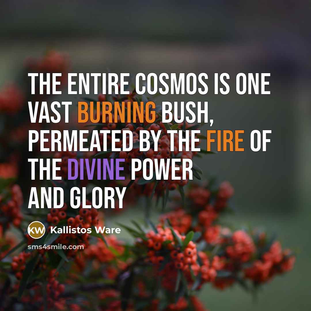 “The entire cosmos is one vast burning bush, permeated by the fire of the divine power and glory” quote by Kallistos Ware