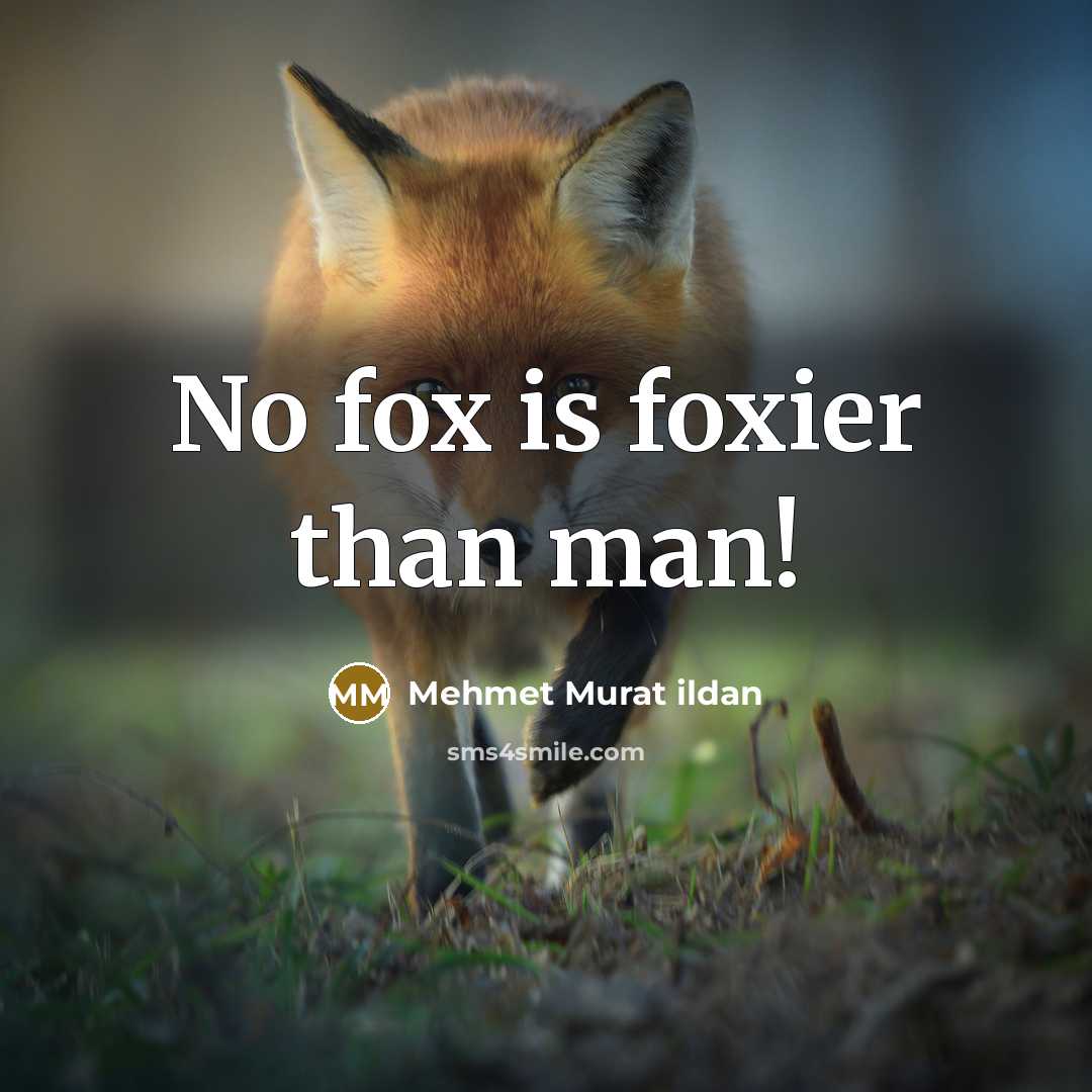 “No fox is foxier than man!” quote by Mehmet Murat Ildan