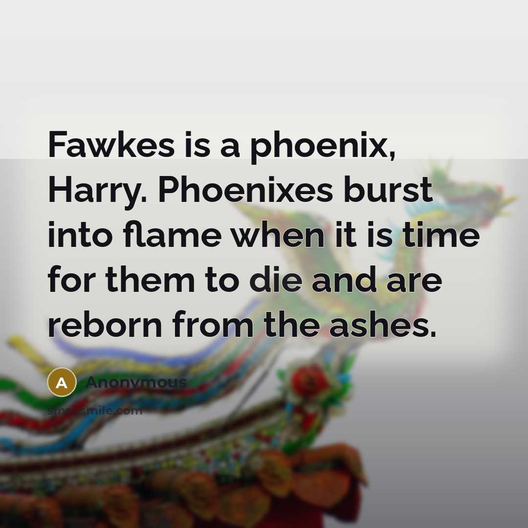 “Fawkes is a phoenix, Harry. Phoenixes burst into flame when it is time for them to die and are reborn from the ashes.” quote by Anonymous